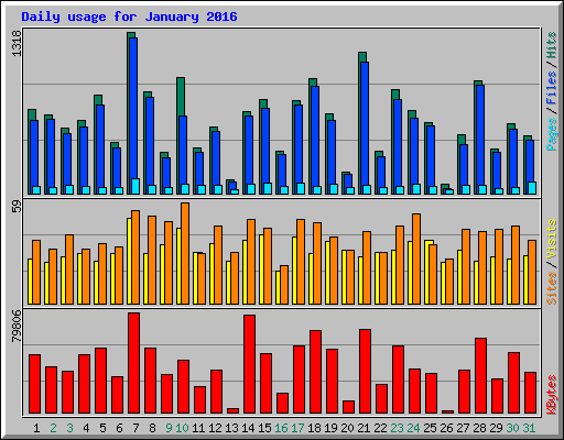 Daily usage for January 2016